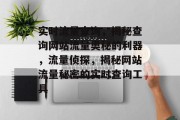 实时流量查询，揭秘查询网站流量奥秘的利器，流量侦探，揭秘网站流量秘密的实时查询工具