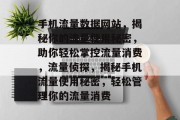 手机流量数据网站，揭秘你的流量使用秘密，助你轻松掌控流量消费，流量侦探，揭秘手机流量使用秘密，轻松管理你的流量消费