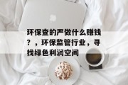 环保查的严做什么赚钱?,环保监管行业,寻找绿色利润空间