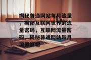 揭秘普通网站每月流量，揭秘互联网世界的流量密码，互联网流量密码，揭秘普通网站每月流量真相