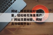 揭秘，哪些网站好搞流量，轻松吸引海量用户！网站流量秘籍，揭秘高效吸粉平台！