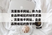 流量推手网站，助力企业品牌崛起的秘密武器，流量推手网站，企业品牌崛起的数字利器