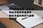 揭秘网站流量，什么是网站流量及其重要性，网站流量的奥秘与重要性揭秘