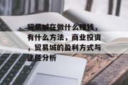 贸易城在做什么赚钱,有什么方法,商业投资,贸易城的盈利方式与途径分析 贸易城在做什么赚钱,有什么方法,商业投资,贸易城的盈利方式与途径分析