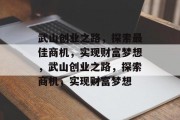 武山创业之路,探索最佳商机,实现财富梦想,武山创业之路,探索商机,实现财富梦想