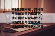 揭秘扫描网站，如何在不增加流量的情况下，提升网站安全与优化，网站安全与流量无关，揭秘高效扫描优化秘籍