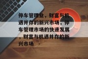 停车管理业,财富与机遇并存的新兴市场,停车管理市场的快速发展,财富与机遇并存的新兴市场