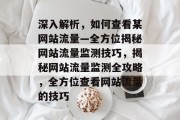 深入解析，如何查看某网站流量—全方位揭秘网站流量监测技巧，揭秘网站流量监测全攻略，全方位查看网站流量的技巧