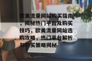 欧美流量网站购买指南，揭秘热门平台及购买技巧，欧美流量网站选购攻略，热门平台解析与购买策略揭秘