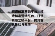 打造精准营销平台，打造精准营销平台，打造精准营销平台，提升客户体验与效率
