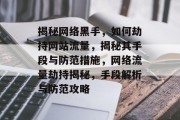 揭秘网络黑手，如何劫持网站流量，揭秘其手段与防范措施，网络流量劫持揭秘，手段解析与防范攻略
