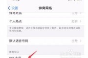 苹果手机怎么设置允许使用网络的简单介绍