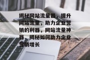 揭秘网站流量器，提升网站流量，助力企业营销的利器，网站流量神器，揭秘如何助力企业营销增长