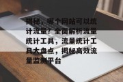 揭秘，哪个网站可以统计流量？全面解析流量统计工具，流量统计工具大盘点，揭秘高效流量监测平台