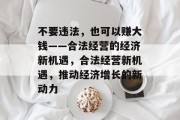 不要违法,也可以赚大钱——合法经营的经济新机遇,合法经营新机遇,推动经济增长的新动力 不要违法,也可以赚大钱——合法经营的经济新机遇,合法经营新机遇,推动经济增长的新动力