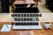 网站流量统计51，揭秘网站流量背后的秘密，网站流量揭秘，51数据背后的流量秘密
