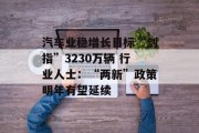 汽车业稳增长目标“剑指”3230万辆 行业人士：“两新”政策明年有望延续