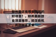 郑州最近有哪些赚钱的好项目?,郑州最新创业项目推荐,抓住商机,共创财富未来