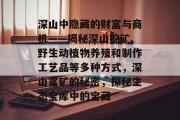 深山中隐藏的财富与商机——揭秘深山挖矿、野生动植物养殖和制作工艺品等多种方式,深山富矿的秘密,探秘生态宝库中的宝藏 深山中隐藏的财富与商机——揭秘深山挖矿、野生动植物养殖和制作工艺品等多种方式,深山富矿的秘密,探秘生态宝库中的宝藏