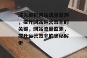 深入解析网站流量监测，提升网站运营效率的关键，网站流量监测，提升运营效率的奥秘解析