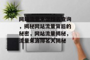 网站流量来源排名查询，揭秘网站流量背后的秘密，网站流量揭秘，流量来源排名大揭秘
