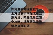 如何查网站流量信息，全方位解析网站流量监测方法，网站流量监测全攻略，揭秘网站流量信息查询方法