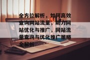 全方位解析，如何高效查询网站流量，助力网站优化与推广，网站流量查询与优化推广策略全解析