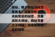 揭秘，哪个网站消耗流量最多？深度分析流量消耗背后的秘密，流量消耗大揭秘，揭秘流量之王网站，深度解析背后的秘密