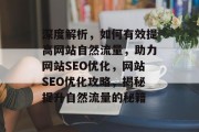 深度解析，如何有效提高网站自然流量，助力网站SEO优化，网站SEO优化攻略，揭秘提升自然流量的秘籍