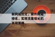新网站优化,提升网站排名,实现流量增长的关键策略 新网站优化,提升网站排名,实现流量增长的关键策略