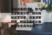 网站流量统计器，助力企业精准分析，提升网站运营效率，流量洞察利器，网站流量统计器助力企业高效运营