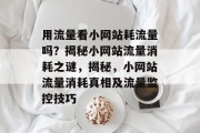 用流量看小网站耗流量吗？揭秘小网站流量消耗之谜，揭秘，小网站流量消耗真相及流量监控技巧