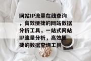网站IP流量在线查询，高效便捷的网站数据分析工具，一站式网站IP流量分析，高效便捷的数据查询工具
