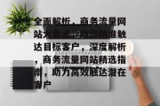 全面解析，商务流量网站大盘点，助您精准触达目标客户，深度解析，商务流量网站精选指南，助力高效触达潜在客户