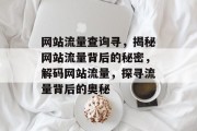 网站流量查询寻，揭秘网站流量背后的秘密，解码网站流量，探寻流量背后的奥秘