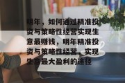 明年,如何通过精准投资与策略性经营实现生意最赚钱,明年精准投资与策略性经营,实现生意最大盈利的途径 明年,如何通过精准投资与策略性经营实现生意最赚钱,明年精准投资与策略性经营,实现生意最大盈利的途径
