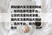 揭秘国内买流量的网站，如何选择可靠平台，让你的流量如虎添翼，国内买流量网站大揭秘，选对平台，助力流量飙升