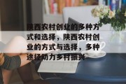 陕西农村创业的多种方式和选择，陕西农村创业的方式与选择，多种途径助力乡村振兴