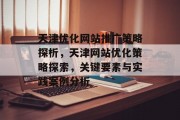 天津优化网站推广策略探析，天津网站优化策略探索，关键要素与实践案例分析