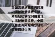 全国流量消费查询网站，揭秘流量消费之谜，助您轻松掌控网络生活，揭秘流量消费，全国流量查询网站助您轻松管理网络生活