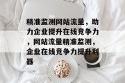 精准监测网站流量，助力企业提升在线竞争力，网站流量精准监测，企业在线竞争力提升利器