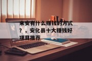 来安有什么赚钱的方式?,安化县十大赚钱好项目推荐 来安有什么赚钱的方式?,安化县十大赚钱好项目推荐