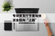 专项债发行节奏加快 资金投向“上新”
