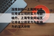 深度剖析—上海网站优化排名公司的实力与影响力，上海专业网站优化排名公司实力与影响力的深入分析