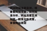 揭秘网站流量监测，哪里看网站流量，如何精准分析，网站流量监测秘籍，精准分析流量，掌握网站奥秘