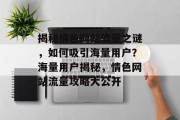 揭秘情色网站流量之谜，如何吸引海量用户？海量用户揭秘，情色网站流量攻略大公开
