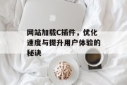 网站加载C插件,优化速度与提升用户体验的秘诀 网站加载C插件,优化速度与提升用户体验的秘诀