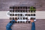 网站流量用途解析，如何有效利用网站流量实现商业价值，网站流量价值最大化策略，揭秘高效商业转化之道