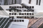 揭秘新网站最佳流量策略，打造热门网站的秘密武器，网站流量增长秘籍，揭秘打造热门网站的最佳策略