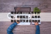 赚钱的羊——从养羊开始,开疆拓土,从养羊做起如何快速获得财富 赚钱的羊——从养羊开始,开疆拓土,从养羊做起如何快速获得财富